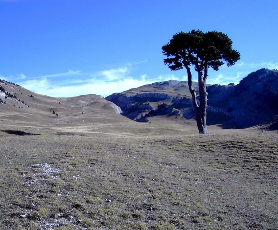 Okami Du Vercors Saint-Laurent-en-Royans エクステリア 写真